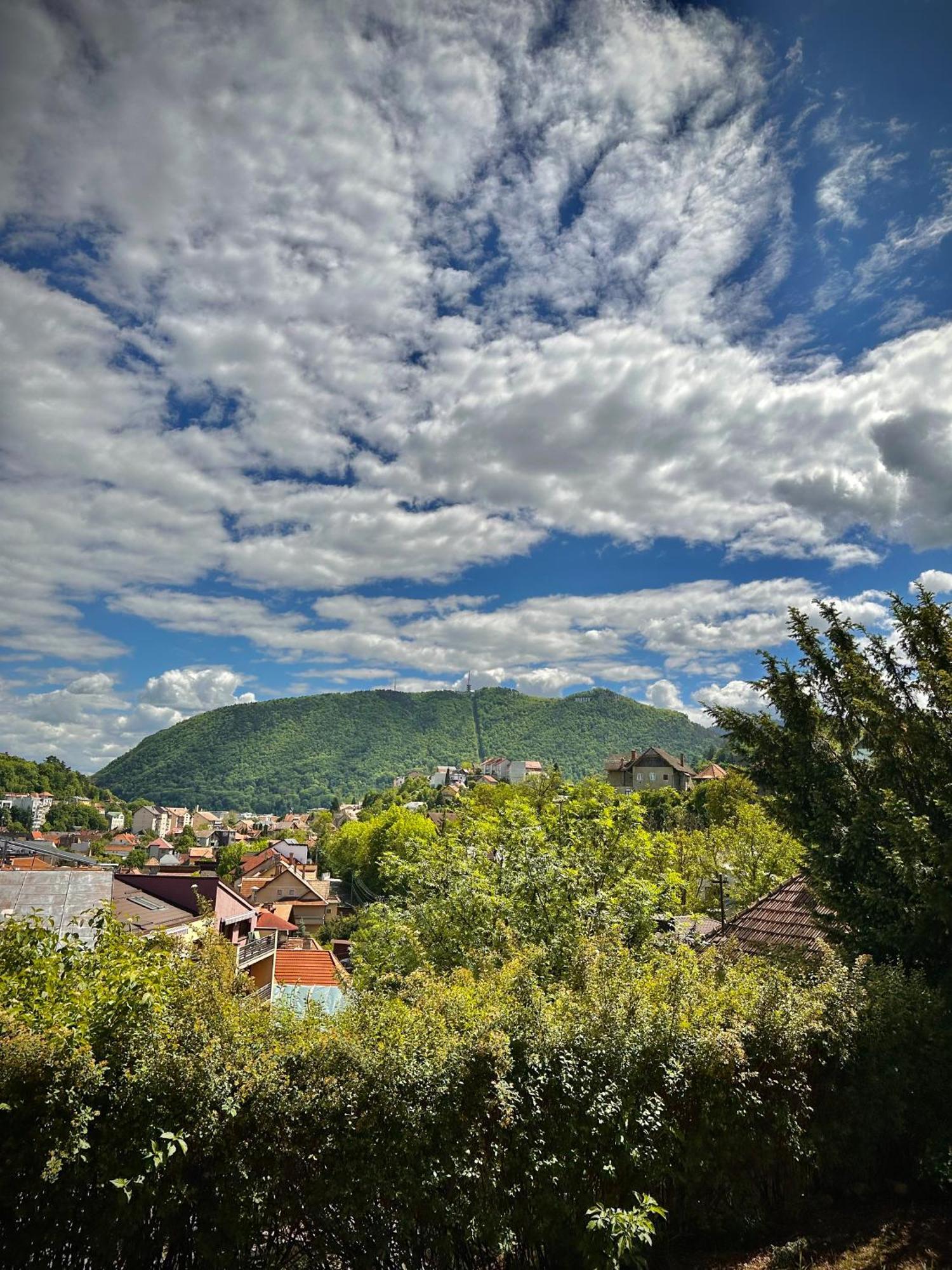 Cloos - Elegant Residence With Panoramic View Брашов Экстерьер фото