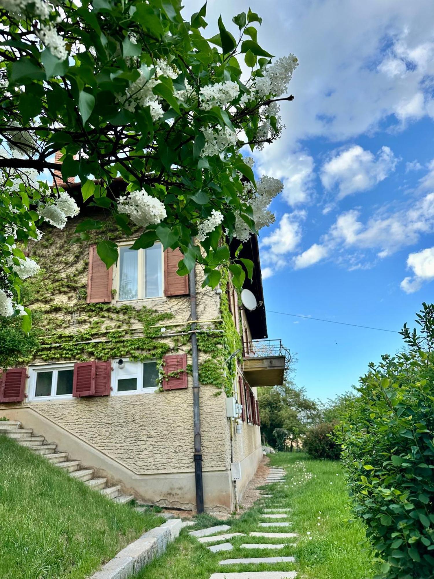 Cloos - Elegant Residence With Panoramic View Брашов Экстерьер фото